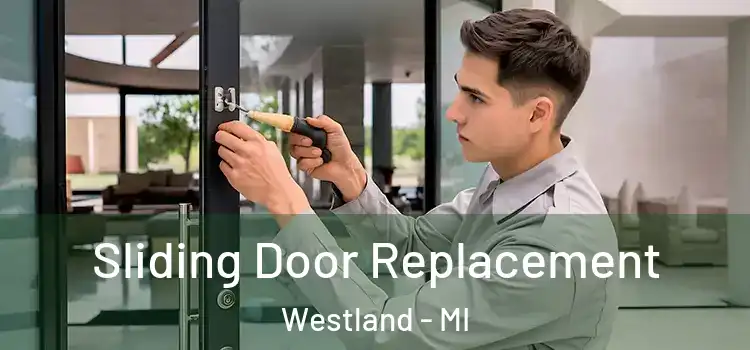  Sliding Door Replacement Westland - MI