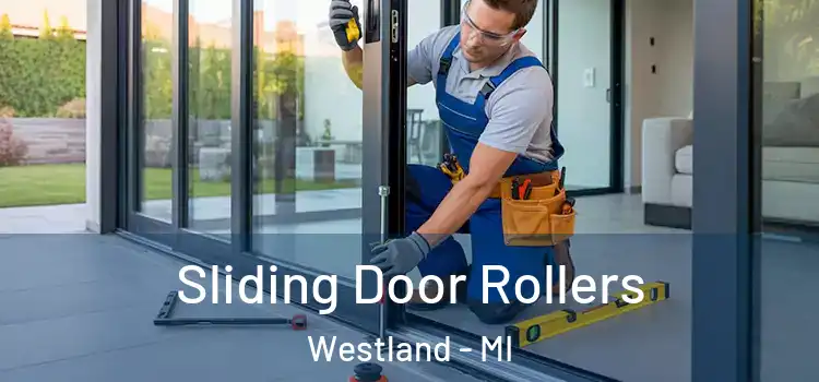 Sliding Door Rollers Westland - MI