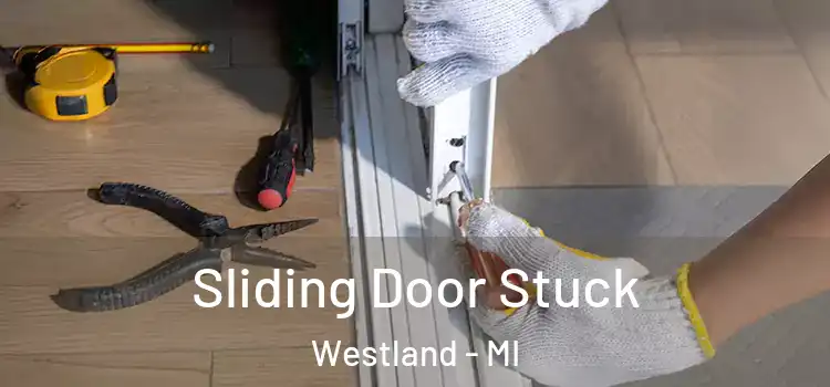  Sliding Door Stuck Westland - MI