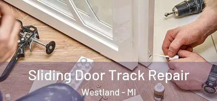  Sliding Door Track Repair Westland - MI