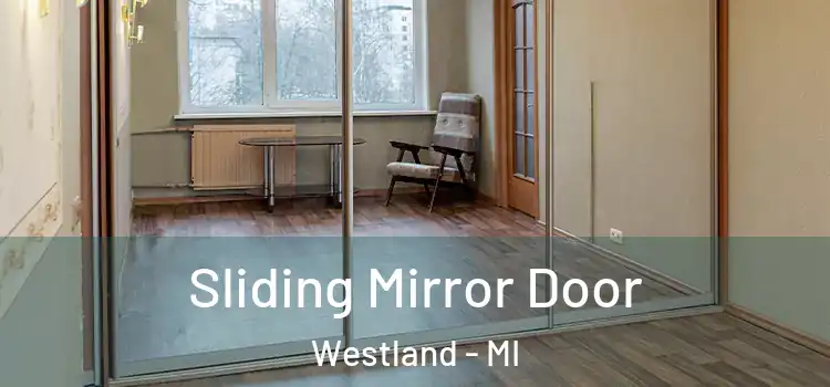  Sliding Mirror Door Westland - MI
