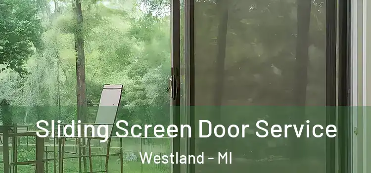  Sliding Screen Door Service Westland - MI