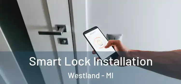 Smart Lock Installation Westland - MI