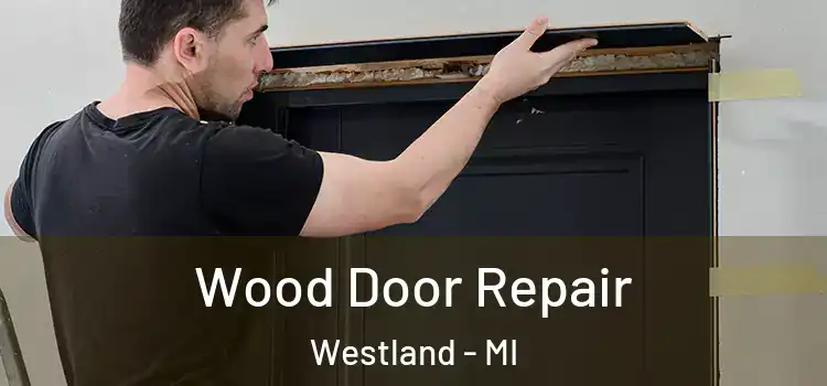  Wood Door Repair Westland - MI